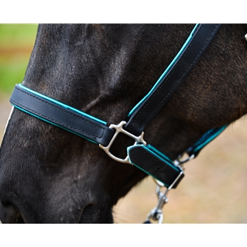 Padded Halter made from BETA BIOTHANE with Shiny Metallic Leather Padding