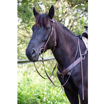 ****BETTER THAN LEATHER****Western Bridle made from Beta Biothane