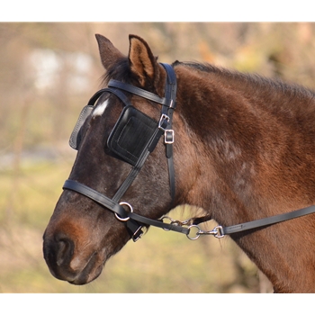 DRIVING BRIDLE Made from Beta Biothane