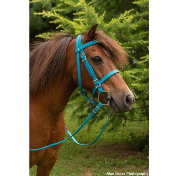 PICNIC BRIDLE or SIMPLE HALTER BRIDLE made from Beta Biothane