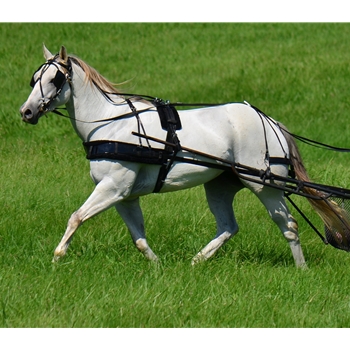 BIOTHANE HARNESS with SILVER SPOTS