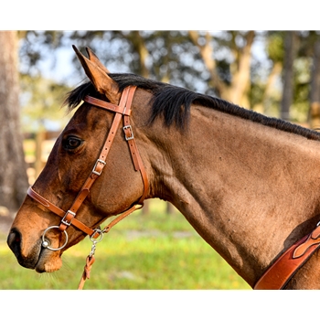 PICNIC BRIDLE or SIMPLE HALTER BRIDLE made from LEATHER