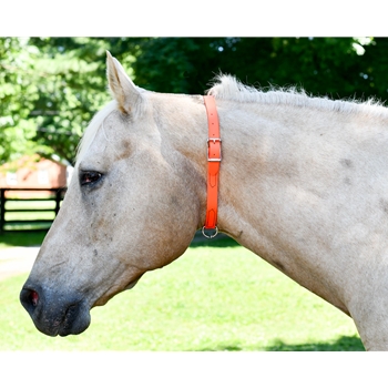 Get Grooming Neck Collar for Horses only at Two Horse Tack