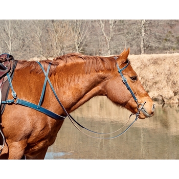 SPLIT WESTERN RIDING REINS made from USA Tanned LEATHER