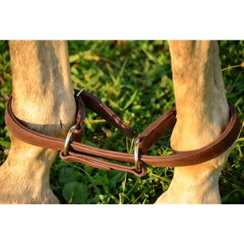 Horse HOBBLES made from Beta Biothane