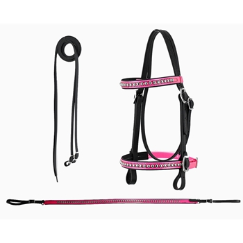 **WHOLESALE/DISCOUNT** Color Overlay with Silver Spots ENGLISH BRIDLE & BREAST COLLAR SET made from BETA BIOTHANE