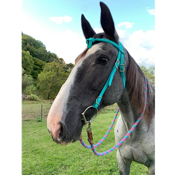 WESTERN BRIDLE with Futurity Knot Browband made from BETA BIOTHANE (Solid Colored)