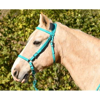 WESTERN Style BITLESS BRIDLE made from BETA BIOTHANE (Solid Colored)