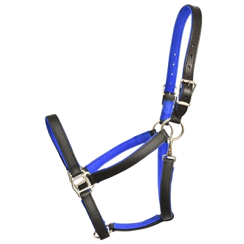 Padded Halter made from BETA BIOTHANE with NO RUB Padding