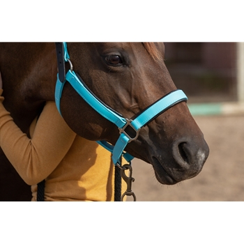 Padded Halter made from BETA BIOTHANE with Black NEOPRENE Padding