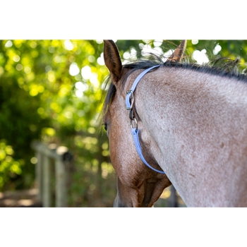 Shop Turnout Neck Collar with Leather Breakaway from Two Horse Tack