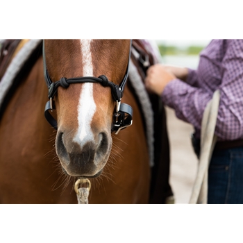 ROPE COMBO HALTER made from BETA BIOTHANE (Solid Colored)