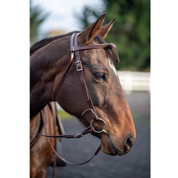 WESTERN BRIDLE with Futurity Knot Browband made from BETA BIOTHANE (Solid Colored)