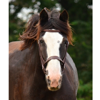 ENGLISH HUNT BRIDLE made from LEATHER