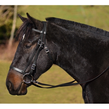 ENGLISH HUNT BRIDLE Made from Beta Biothane