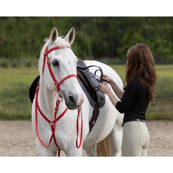 ENGLISH BRIDLE with CAVESSON made from BETA BIOTHANE (Solid Colored)