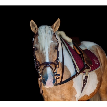 English Bridle with Cavesson | Horse Tack Store Online