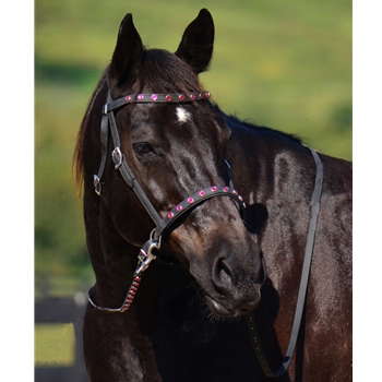 2 in 1 BITLESS BRIDLE made from BETA BIOTHANE (with BLING)