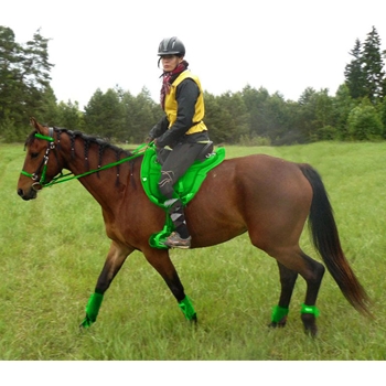 Green Bean Endurance Official Tack HALTER BRIDLE with BIT HANGERS made from BETA BIOTHANE (Mix N Match)