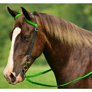 WESTERN BRIDLE (One Ear or Two Ear Split Ear Browband) made from BETA BIOTHANE (Mix N Match) **Green Bean Official Tack***
