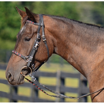 Traditional HALTER BRIDLE with BIT HANGERS made from BETA BIOTHANE (with JEWELS RHINESTONES BLING)