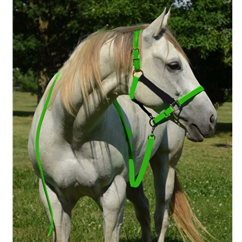 HALTER & LEAD made from BETA BIOTHANE (Mix N Match) **Green Bean Official Tack***