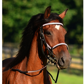 Quick Change HALTER BRIDLE with Snap On Browband made from BETA BIOTHANE (ANY 2 COLOR COMBO)