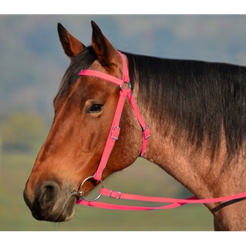 HOT PINK AUSTRALIAN BARCOO OUTRIDER AUSSIE BRIDLE made from BETA BIOTHANE