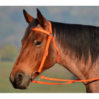 ORANGE AUSTRALIAN BARCOO OUTRIDER AUSSIE BRIDLE made from BETA BIOTHANE