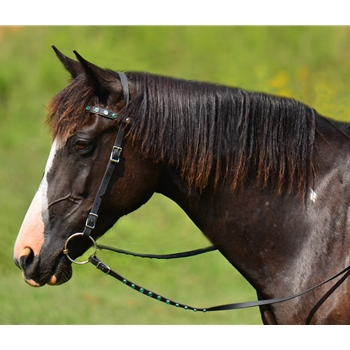 Premier Arabian Training Bridle For Horses | Premium Quality Buffalo Leather | Easy Bit Change | Double-Stitched Durability | Ample Adjustments | Aesthetically Pleasing Dark Oil Finish
