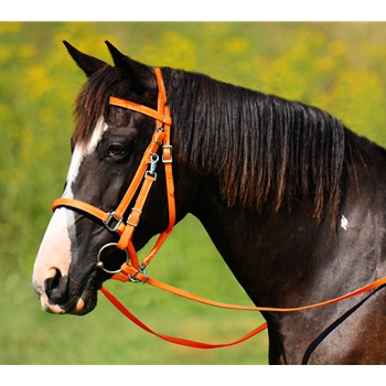 Orange Traditional HALTER BRIDLE with BIT HANGERS made from BETA BIOTHANE 