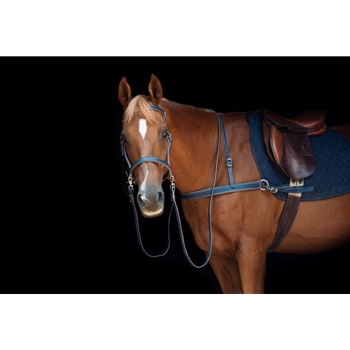 Bitless Bridles