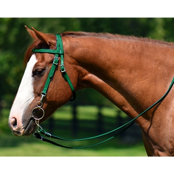 WESTERN TRAINING BRIDLE with Quick Change Snaps made from Beta Biothane (Solid Colored)