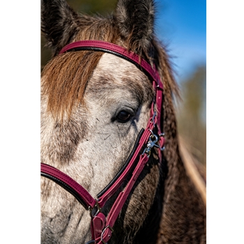 PADDED Traditional HALTER BRIDLE with BIT HANGERS made from BETA BIOTHANE with Black NEOPRENE PADDING