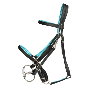 PADDED Traditional HALTER BRIDLE with BIT HANGERS made from BETA BIOTHANE with SHINY METALLIC LEATHER Padding