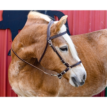 WESTERN Style BITLESS BRIDLE made from LEATHER