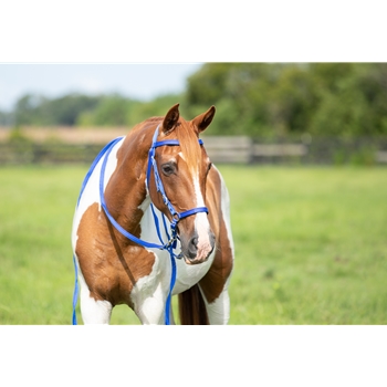 WESTERN Style BITLESS BRIDLE made from NYLON