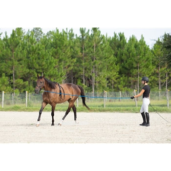 ZooVenture Lunging Aid pour cheval