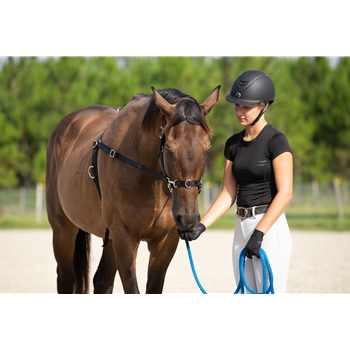 L'influence de l'entraînement sur le système respiratoire du cheval