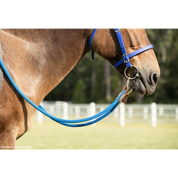 Soft Cotton Rope Horse Riding Reins - Two Horse Tack