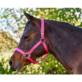 Heavy Duty STABLE HALTER made from NYLON 