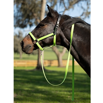 BETA BIOTHANE Safety Halter with Breakaway Leather Crown