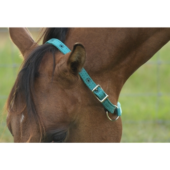 TURNOUT NECK COLLAR with LEATHER BREAKAWAY made with NYLON