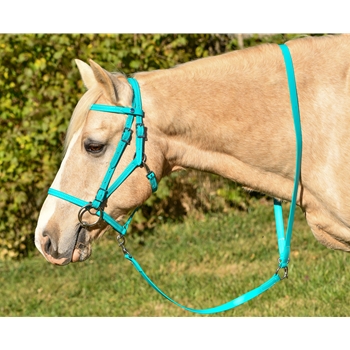 RIDING LEADROPE/LEADLINE made from Beta Biothane (Solid Colored) 