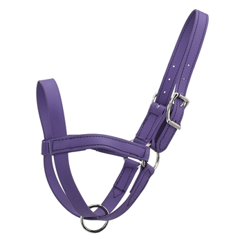 COW/SHEEP HALTER made from BETA BIOTHANE (Solid Colored)