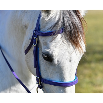 PADDED ENGLISH CONVERT A BRIDLE made from BETA BIOTHANE with COLORED SYNTHETIC PADDING