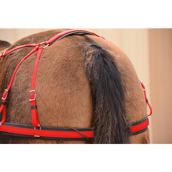 WHOLESALE - SADDLE BREECHING made from BETA BIOTHANE (Solid Colored)