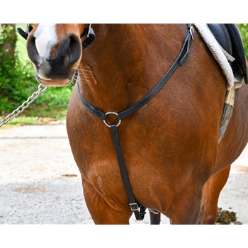 ENGLISH BREAST COLLAR made from BETA BIOTHANE (Solid Colored)