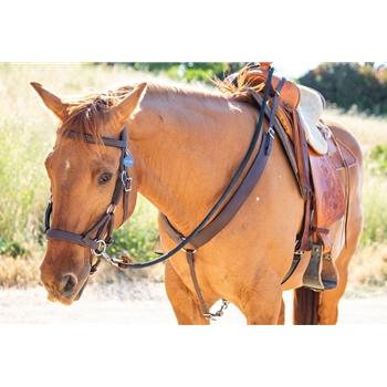 PULLING Western BREAST COLLAR made from BETA BIOTHANE with NO RUB Padding