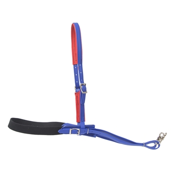 JUMPING/POLO Breast Collar with Elastic made from BETA BIOTHANE with COLORED SYNTHETIC PADDING